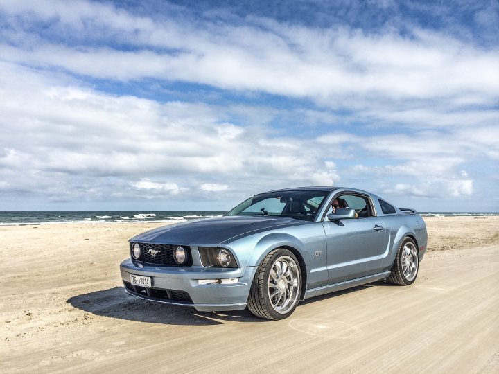 Show us your Mustangs - Page 31 - Mustangs - PistonHeads