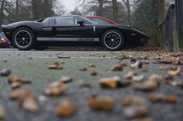 Icons by the Lake Virginia Water - Page 1 - Events/Meetings/Travel - PistonHeads