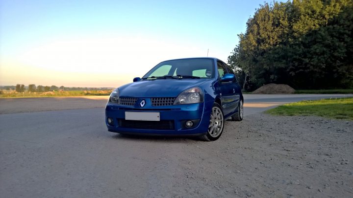 Show Us Your Frenchies! - Page 10 - French Bred - PistonHeads