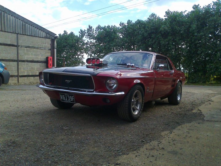 Show us your Mustangs - Page 20 - Mustangs - PistonHeads