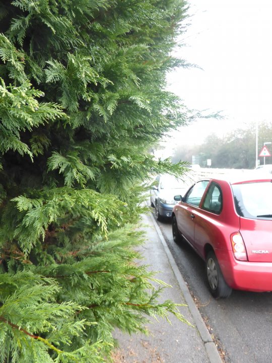 Hedges that encroach onto a footpath badly - Resporting it  - Page 5 - Speed, Plod & the Law - PistonHeads