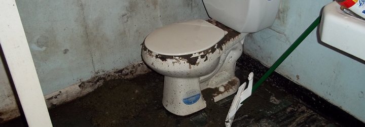 A white toilet sitting next to a white toilet - Pistonheads