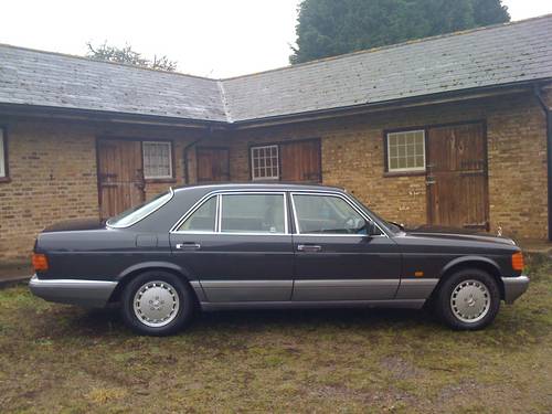 I just bought a W126 560 SEL although I'm still waiting for some work to be 