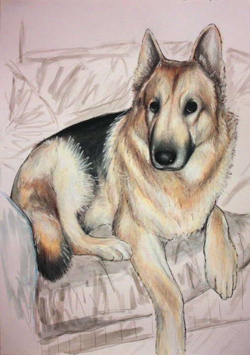 Where would you look to get a painting of your pet or horse? - Page 1 - All Creatures Great & Small - PistonHeads