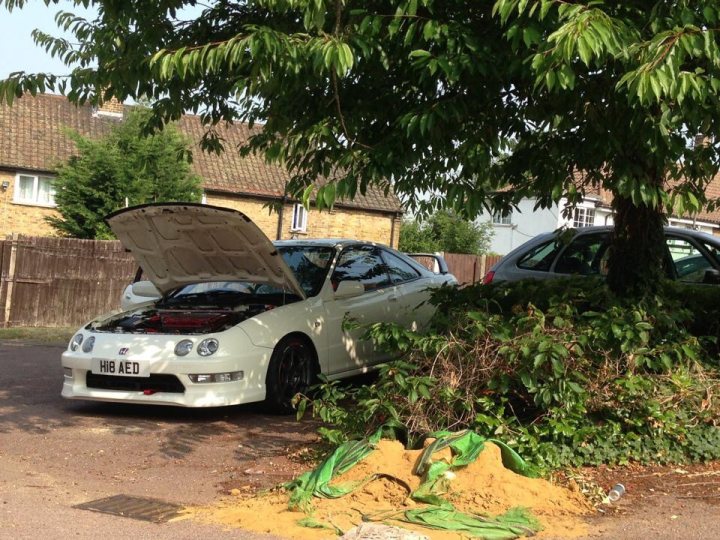 A car parked on the side of a road next to a tree - Pistonheads