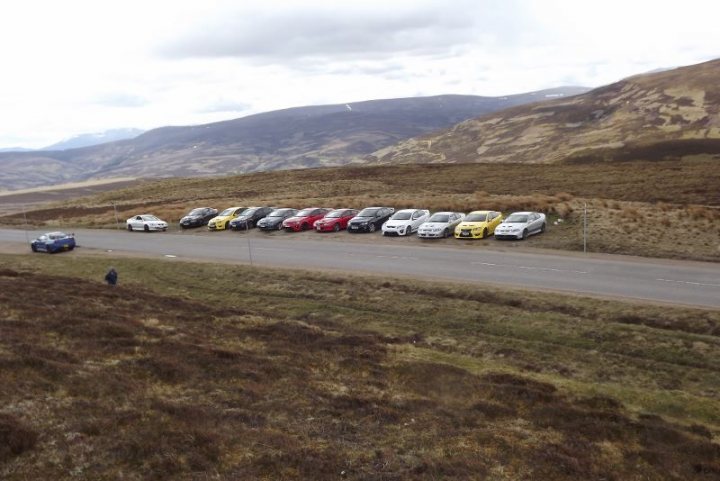 A herd of sheep grazing on a lush green field - Pistonheads