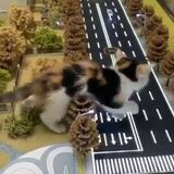 Giant Kitty Terrorizes a Town
