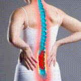 कमर दर्द का घरेलू उपचार |home remedies for back pain    #backpaintreatment #shorts #shortvideo #yoga #healthtips #ytshorts