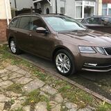 Octavia 1.4 SEL 150 DSG - it's brown! - Page 1 - Readers' Cars - PistonHeads