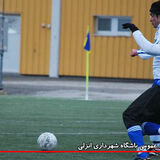 شیرزادی در پیراهن نیلیوارا سوئد