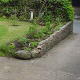 How best to cut down old dead leylandii? - Page 1 - Homes, Gardens and DIY - PistonHeads
