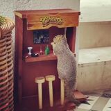 They built the “Cheers” bar during quarantine for their backyard squirrel friends