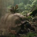 war turtle marches into battle !