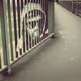 Awesome disappearing handrail portrait (Cologne, Germany)