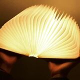 Lamp that look like a book!
