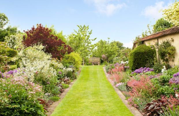 A bench sitting in the middle of a lush green field - Pistonheads - This image depicts a beautiful garden scene. The garden is meticulously landscaped with a well-maintained lawn running along a path flanked by vibrant flower beds. The lawn is a verdant green, contrasting with the various colors of the flowers. The flowers appear to be in full bloom, adding a splash of color to the scene. Surrounding the garden is a variety of trees, adding depth and greenery to the landscape. The overall mood of the image is one of tranquillity and the celebration of nature's beauty.