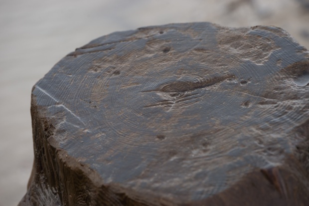 A close up of a cake on a table - Pistonheads - The image features a close-up of a piece of wood, showing its rough surface with a visible grain pattern. The wood appears to be well-used, with the grain lines clearly worn from previous use. The bark surrounding the fair portion of the tree is also visible, indicating that the wood has been recently cut from a tree. There are several knots and small divets scattered across the surface of the wood, contributing to its rustic appearance. The texture of the wood is rough and uneven, with some areas smoother than others.