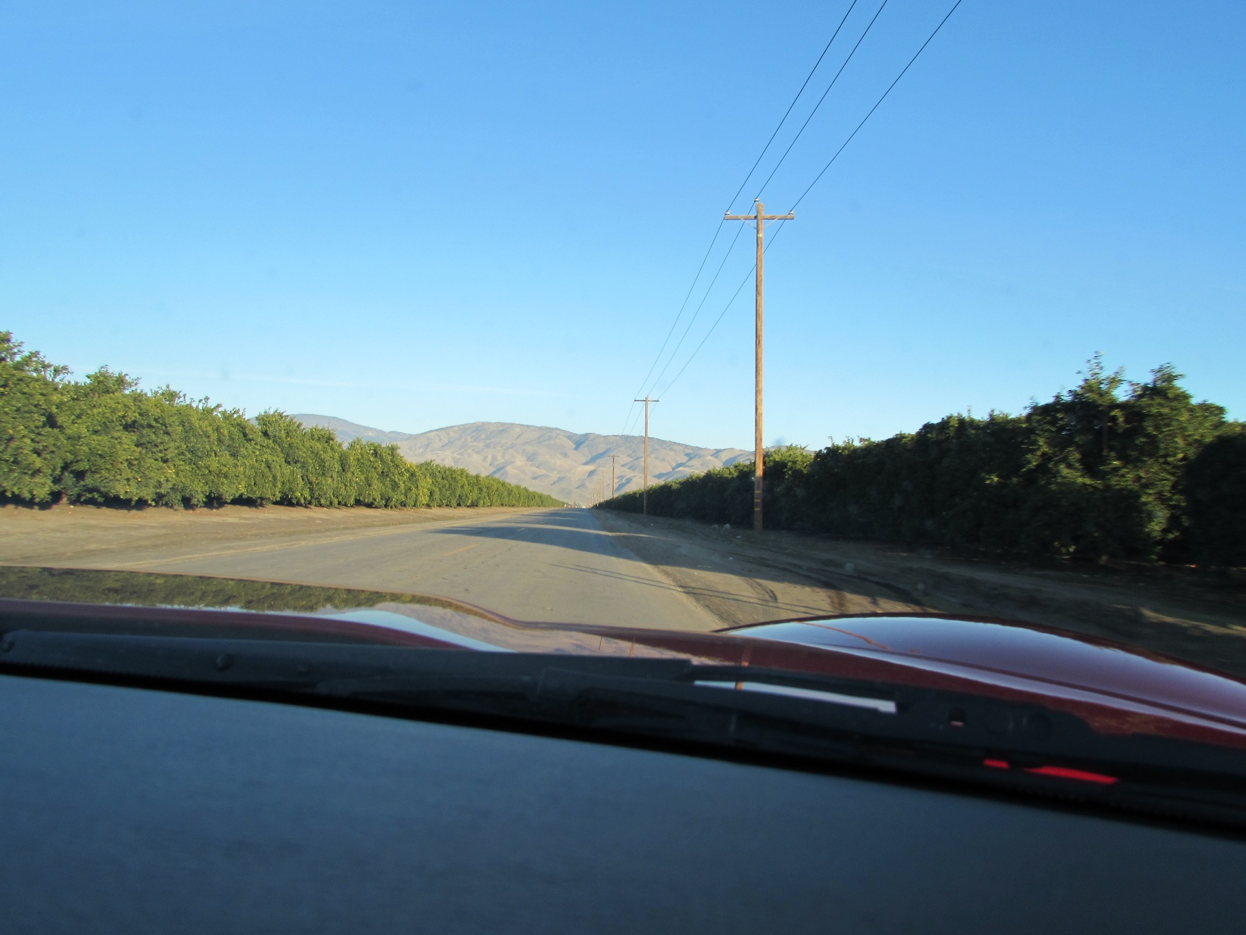 The £7700 Corvette C6 - Page 1 - Readers' Cars - PistonHeads - The image is taken from the inside of a vehicle, capturing a driving perspective down a long, straight road. Power lines run parallel to the carriageway in the foreground. On either side of the road, there are multiple rows of trees forming a hedge-like formation. The road leads towards a distant horizon where a mountain can be seen, suggesting a calm, rural setting with clear skies. The vehicle's hood and part of the windshield are visible, indicating the angle of capture from the front windshield.