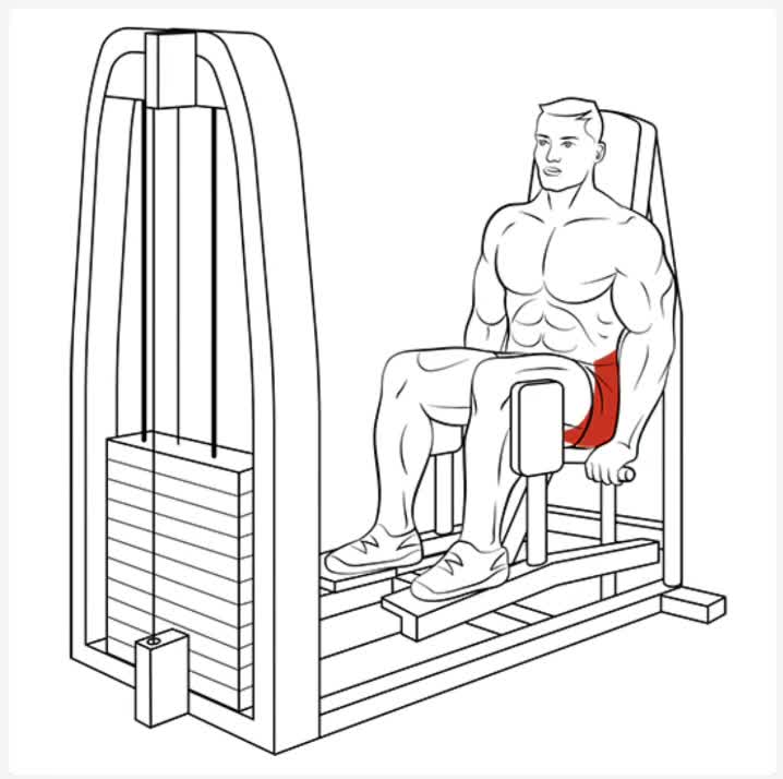 Мышцы сидя. Отведение бедра в тренажере сидя. Отведение ног в тренажере сидя. Сведение и отведение ног в тренажере. Сведение ног в тренажере сидя.