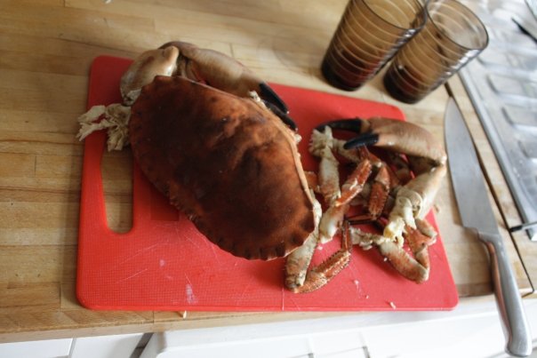 Photo of your dinner (vol 2) - Page 260 - Food, Drink & Restaurants - PistonHeads - The image depicts a close-up of a freshly cooked crustacean, specifically a crayfish, with a rich golden-brown color and somewhat darker claws. The crayfish appears to be lying on a red plastic cutting board, as evidenced by the scalloped edges characteristic of this type of cutting board. In the background, there seems to be a wooden table surface, along with a few other items including a grimacing face and another red plastic cutting board positioned side by side. Additionally, there are empty glass cups placed on the table, suggesting that this might be a table set for a meal or a casual gathering.