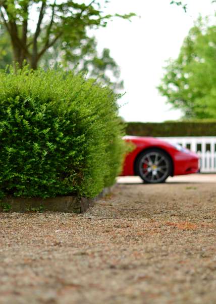 The image features a dynamic composition with a red sports car positioned in the middle ground, behind a manicured hedge that takes up the foreground. The car, with its sleek lines and shiny finish, is facing towards the right side of the frame, indicating motion. The hedge, cut into a formal shape, provides a neat contrast to the vibrant red of the car. Beyond these elements, in the background, there are trees and a white fence, suggesting a suburban setting. The lighting appears soft and natural, suggesting either early morning or late afternoon.