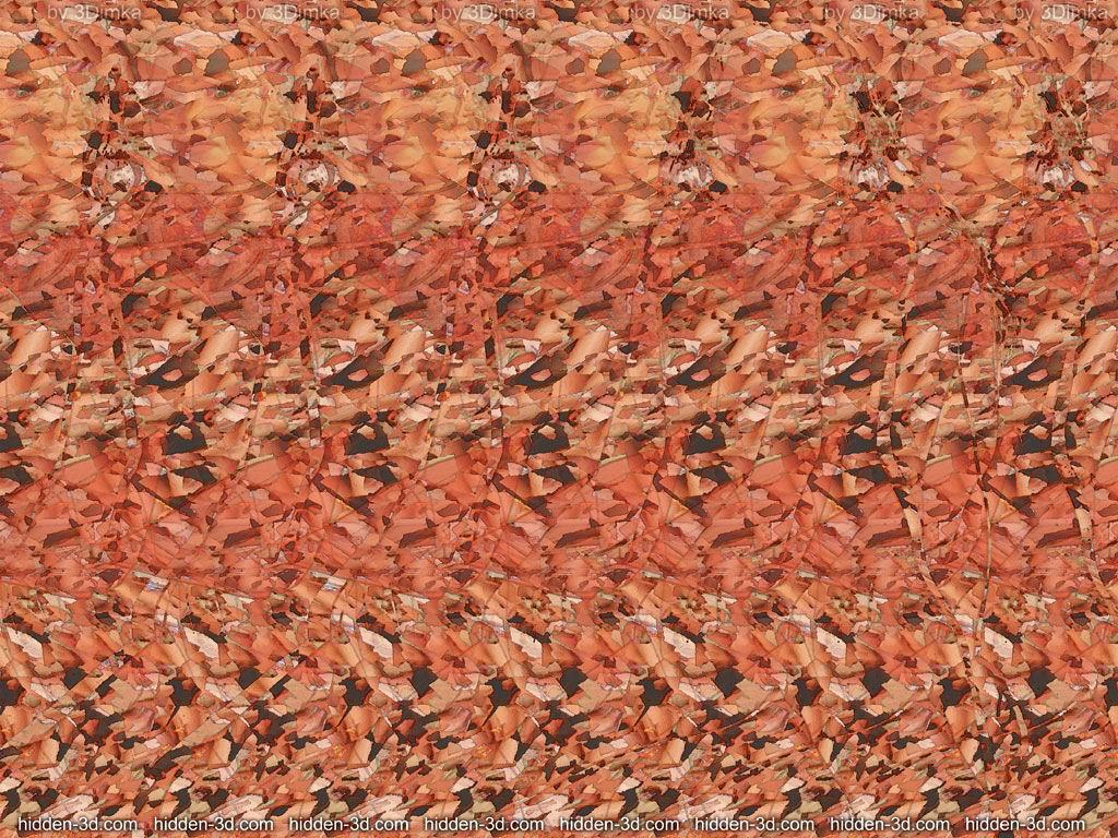 Magic eye pictures. 