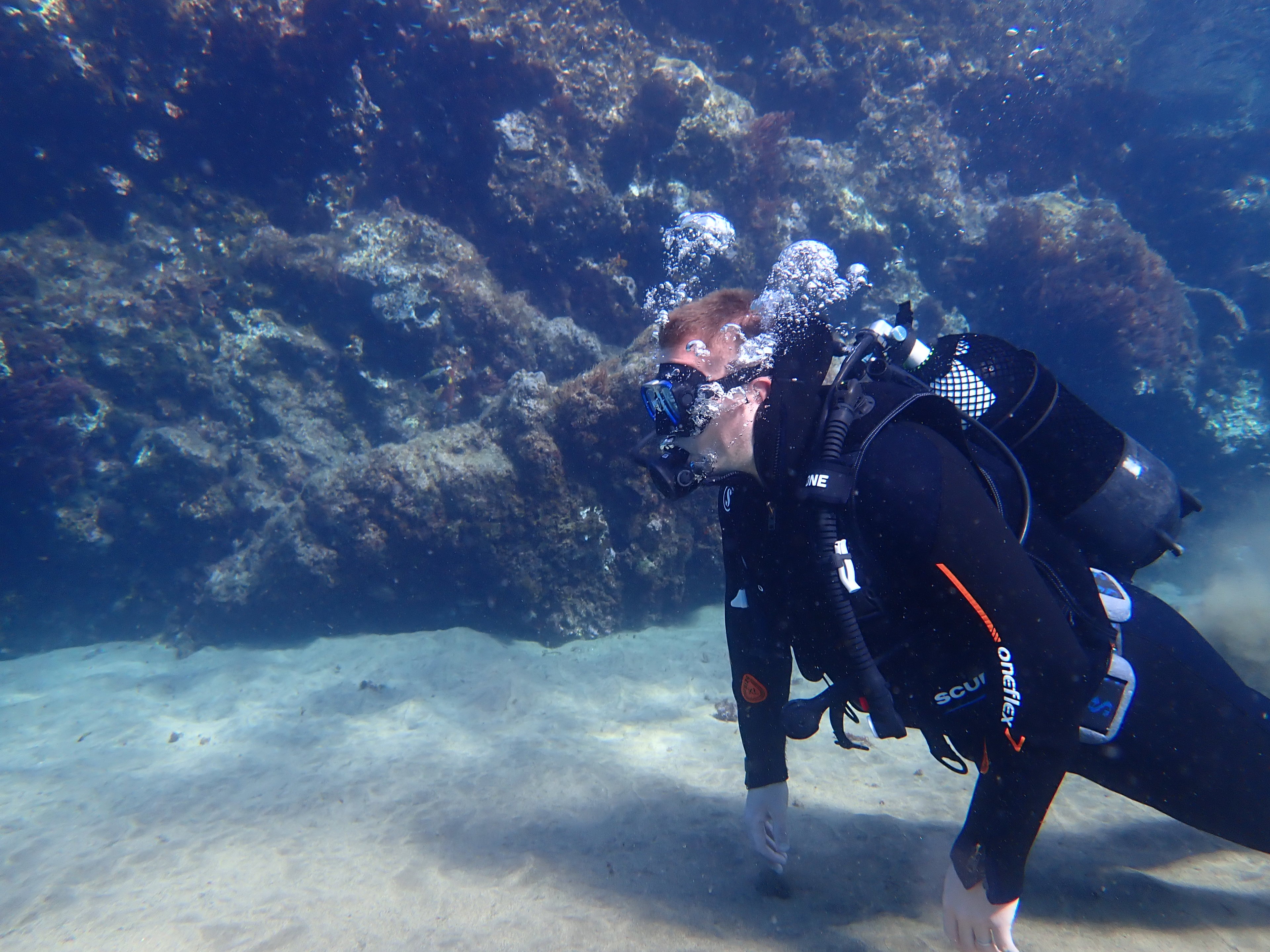 Week off. Not sure what to do - Page 2 - Biker Banter - PistonHeads UK - The image captures an underwater scene where a person is scuba diving. The diver, clad in a black wetsuit with flippers, is seen from a close-up perspective, examining the ocean floor. They are equipped with a scuba tank and a dive mask, which is worn by them.

The diver appears to be looking at the bottom of the ocean or perhaps something of interest on the sea bed. The background reveals a vibrant underwater environment filled with colorful coral reefs.

The coral reefs exhibit various shades of brown and green, indicating a rich biodiversity beneath the surface. There are also small fish swimming around the diver, adding to the lively atmosphere of the scene.

Overall, the image portrays a thrilling scuba diving experience, showcasing the beauty and diversity of underwater ecosystems.