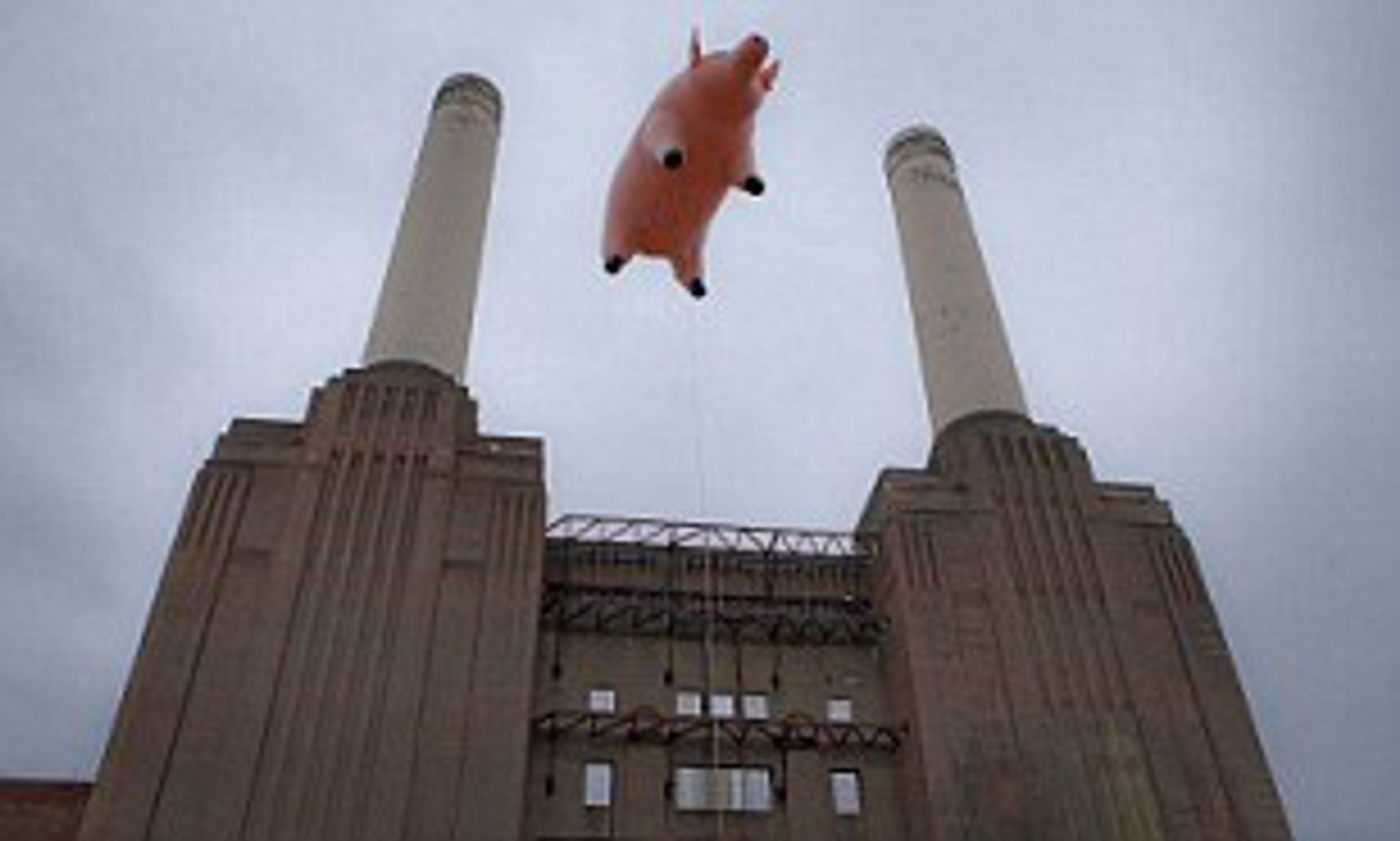 Pink Floyd pig