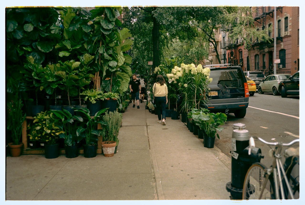 Veronica blends in
Flower District, Manhattan, NY 2018.
Nikon 35ti | Kodak Ultramax 400