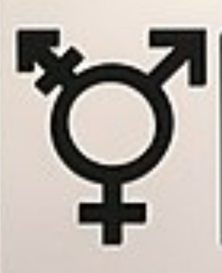 The Gender Non-binary debate.  - Page 193 - News, Politics & Economics - PistonHeads
