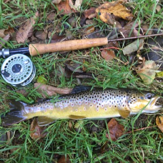 The Fly Fishing Thread - Page 1 - Sports - PistonHeads