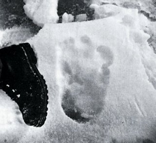 New shoes anyone !  - Page 1 - Aston Martin - PistonHeads - The image is a black and white photograph that captures a profound moment. The scene is set in the snow, where the solitary footprint of a person is the focal point. The snow appears freshly fallen, untouched except for a unique detail: the man's solitary footprint. Amidst the serene white of the snow, the single black print stands out, suggesting the presence of a human in that vast expanse. Just next to the footprint, on the left side of the image, there's another object adding a touch of intrigue to the scene: a boot, also black and white, partially visible. Despite the simplicity of the scene, the image conveys a sense of solitude, introspection, and the beauty of nature untouched except for a single human presence.