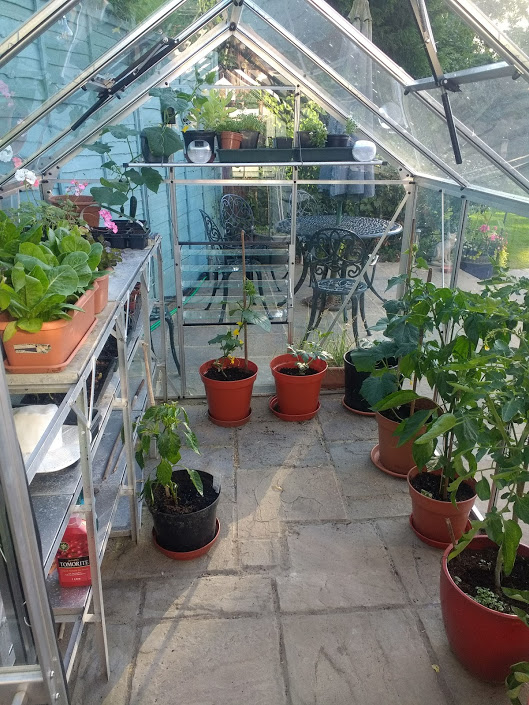 The Greenhouse Thread - Page 3 - Homes, Gardens and DIY - PistonHeads