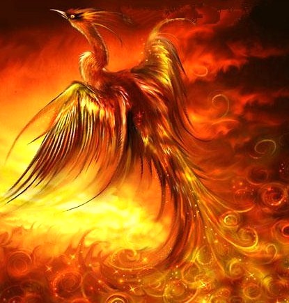 Fire Bird Phoenix