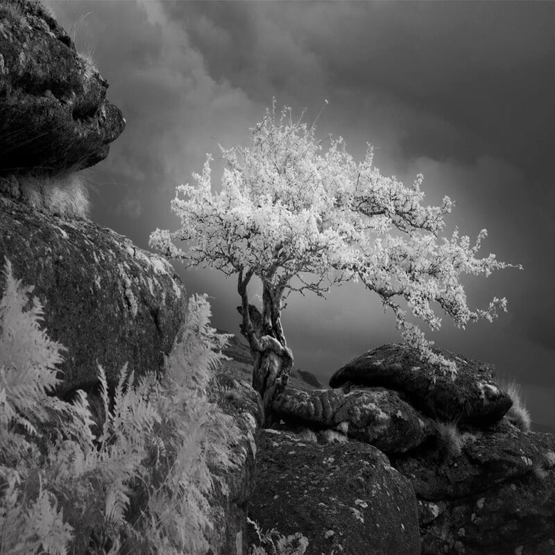 UK Landscape Photographer of the Year 2023