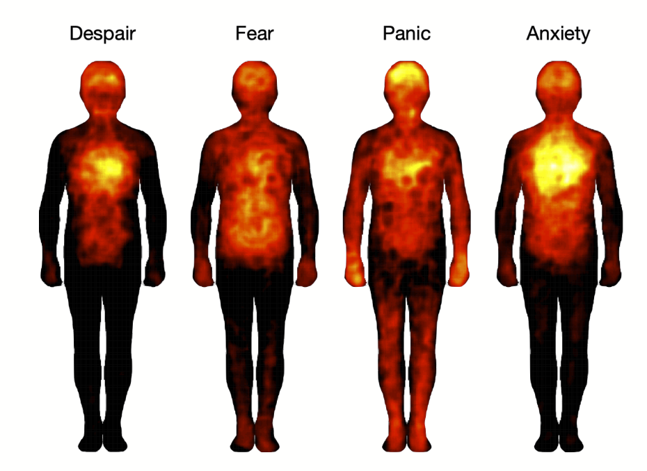 Körperwärmeaufnahme für Despair, Fear, Panic, Anxiety
(Panic ist am eiten verbreitete Wärme, Anxiety größte Konzentration in der Herzgegend)