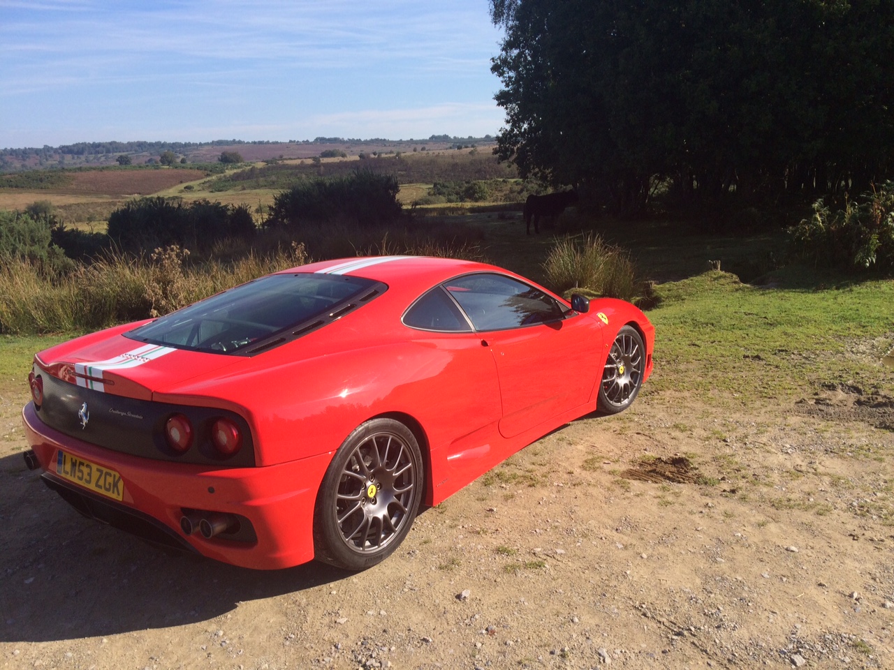 What did you do with your Challenge Stradale today? - Page 1 - Ferrari Classics - PistonHeads