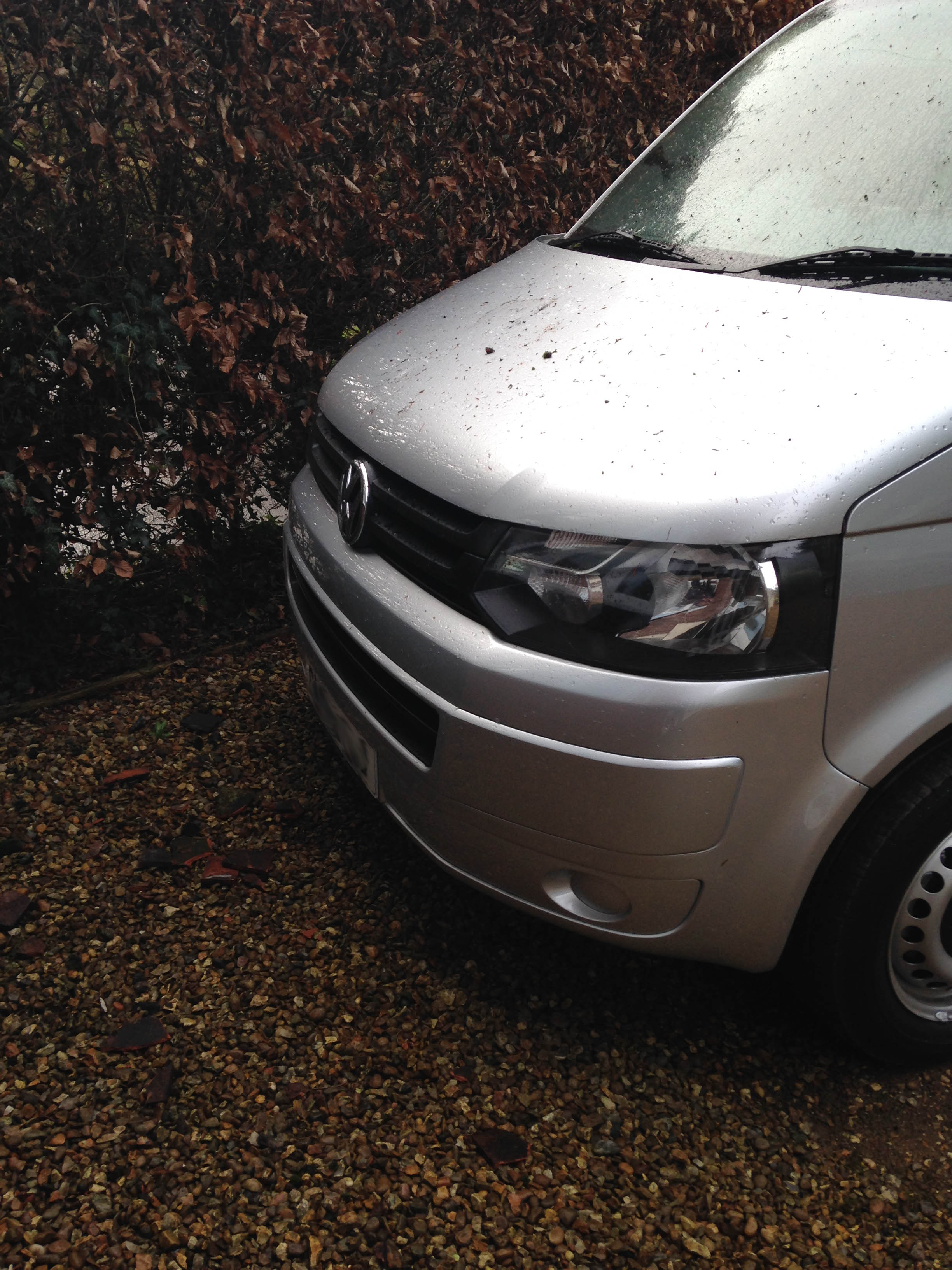 Grrr bloody wind.. anyone beat this? - Page 1 - The Lounge - PistonHeads - The image captures a compact silver-colored car parked on a gravel driveway. The hood of the car appears wet, as if it has rained recently. The vehicle's headlights are not illuminated, suggesting that the photo was taken during daytime. A lush, engaging bush in the background adds a touch of greenery to the scene. The ground beneath the car is covered with gravel.