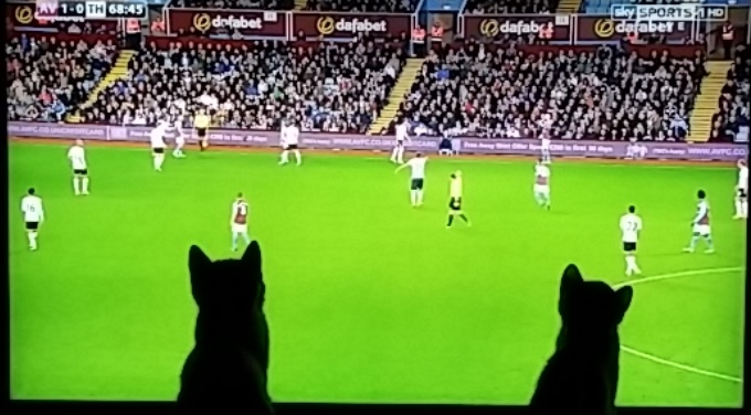 A crowd of people watching a baseball game - Pistonheads - The image presents a scene from a soccer match set against a backdrop of a stadium filled with spectators. Two cats are sitting in front of the screen, their silhouettes providing a sharp contrast against the TV. One cat is positioned on the left side of the screen, while the other is on the right, both appearing engrossed in the on-screen action. The scoreboard on the screen shows a score of 1-0, with Liverpool winning the first half and four minutes remaining. The image gives the impression of a quiet evening at home, with the cats as the unexpected viewers of a thrilling sports event.