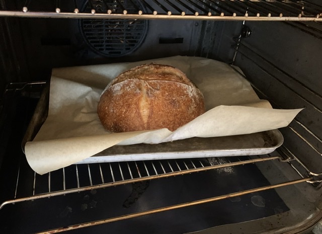 Sourdough breadmaking - Page 19 - Food, Drink & Restaurants - PistonHeads