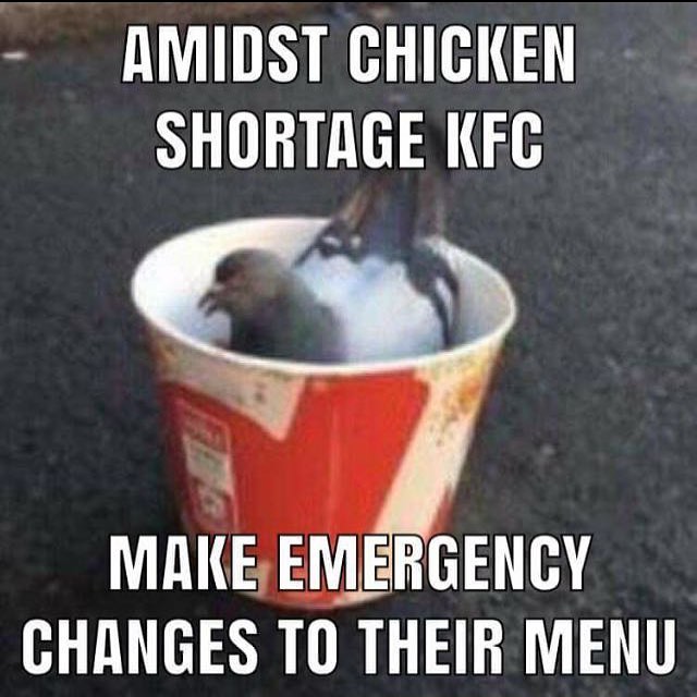 KFC runs out of chicken - Page 17 - News, Politics & Economics - PistonHeads
