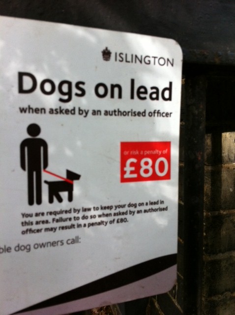 Dogs on a lead ambiguity - Page 1 - All Creatures Great & Small - PistonHeads