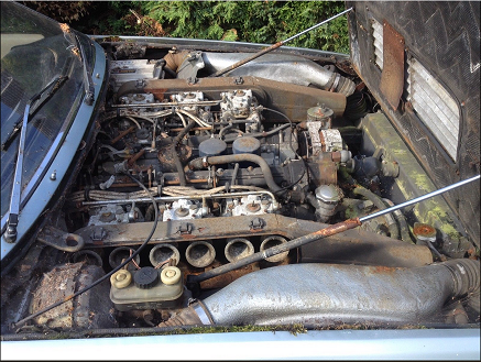 Classics left to die/rotting pics - Vol 2 - Page 198 - Classic Cars and Yesterday's Heroes - PistonHeads