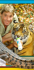 This image features a man and a large tiger posing together. The tiger, which occupies the majority of the frame, seems calm as it allows the man to take a selfie with it. The man has a smile on his face, radiating his enjoyment of this unique opportunity. The background appears to be indistinct, directing all attention towards the man and the tiger. The image captures a moment of interaction between humans and wildlife.