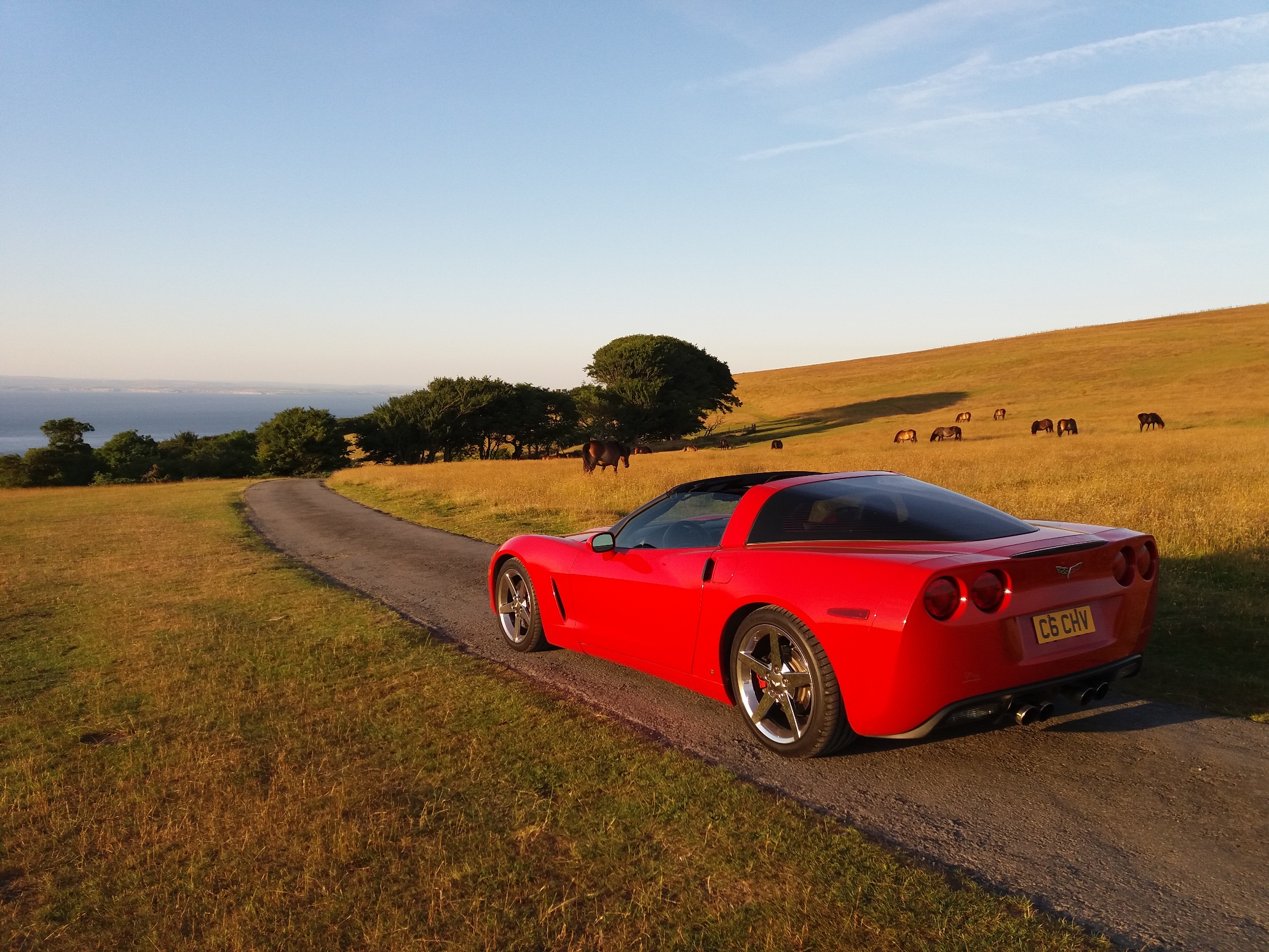 The £7700 Corvette C6 - Page 10 - Readers' Cars - PistonHeads