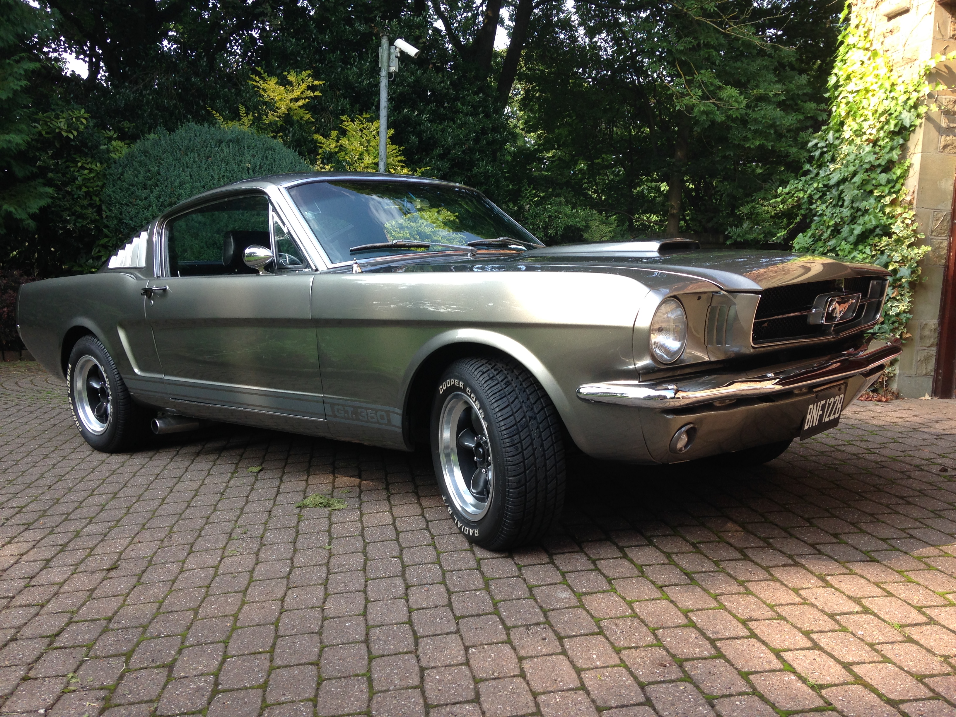 Show us your Mustangs! - Page 3 - Mustangs - PistonHeads