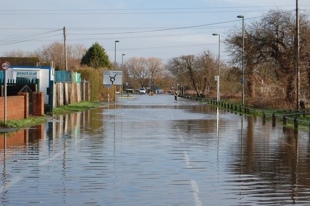 A flooded street with trees and a fire hydrant - Pistonheads