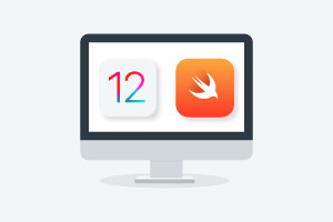 Diploma in iOS 12 and Swift 4 Basics