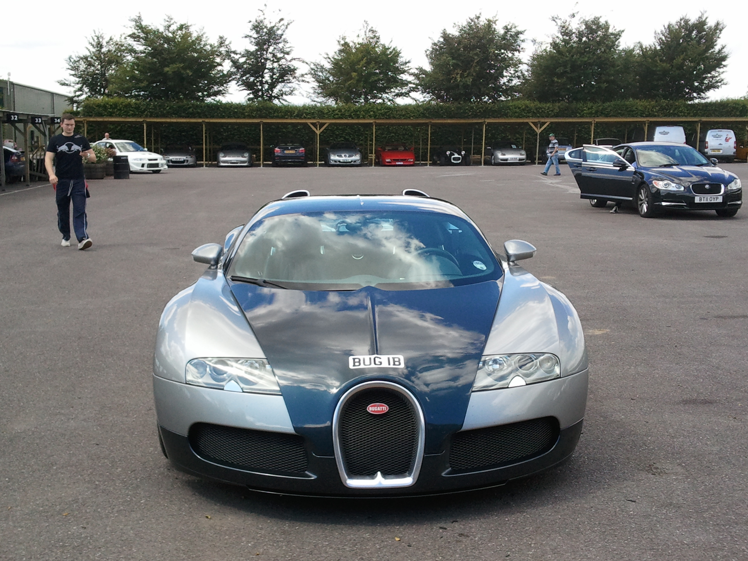 Who Owns This Veyron - 'BUG 1B' - Page 1 - General Gassing - PistonHeads