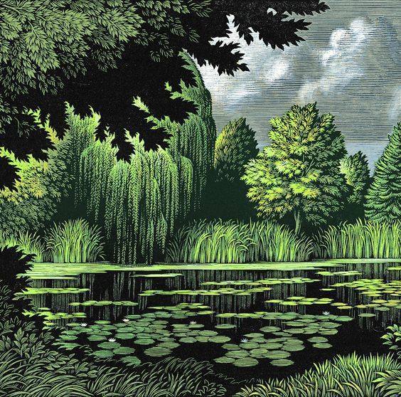 fravery:
“Chris Wormel - Frog Pond
”